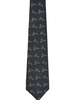 Dubarry Lacken Silk Tie