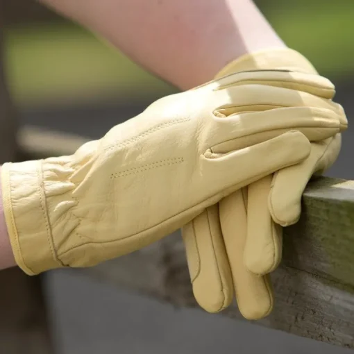 Equetech Leather Show Gloves