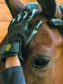 HandsOn Glove