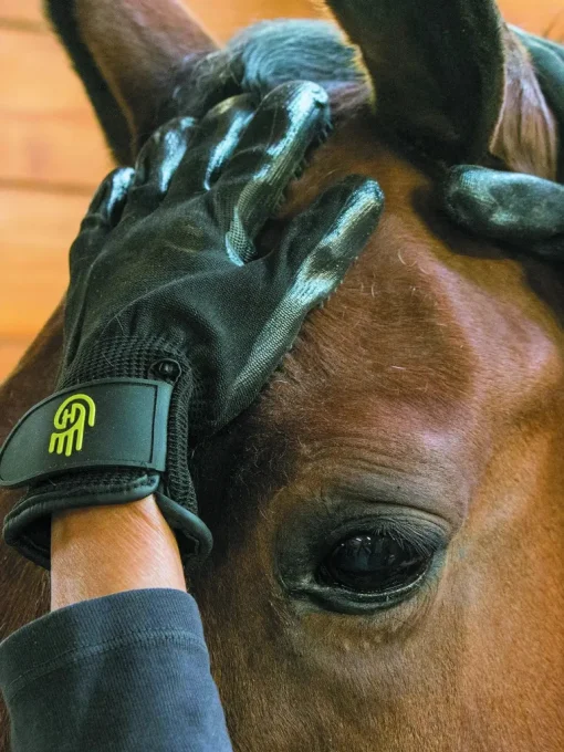 HandsOn Glove