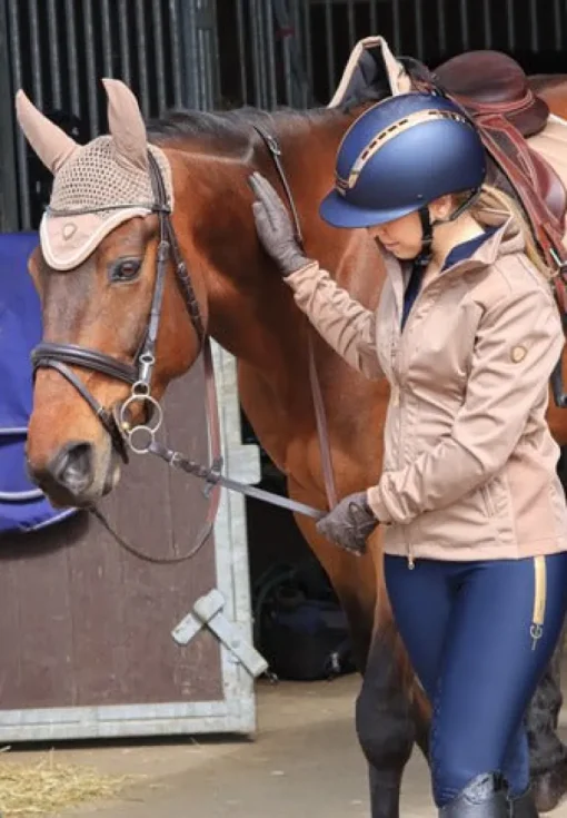 Uvex Suxxeed Chrome Riding Helmet