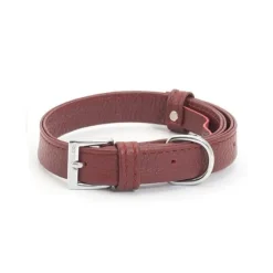 Ancol Indulgence Folded Collar