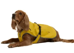 Barbour Evie Waterproof Dog Coat