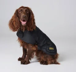 Barbour International Dog Coat