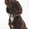 Barbour Reflective Tartan Comfort Dog Collar