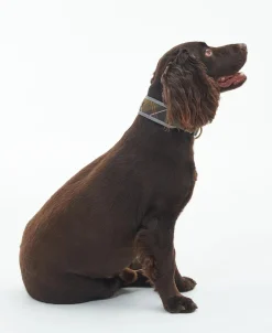 Barbour Reflective Tartan Comfort Dog Collar