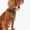 Barbour Tartan Dog Harness