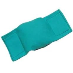 Bisley Beanbag Dog Puppy Dummy Green