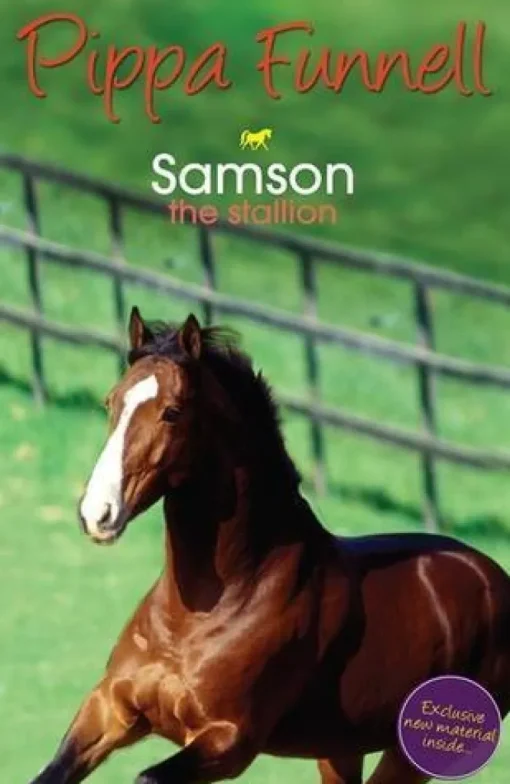 Book Tilly's Pony Tails 04 Samson the Stallion