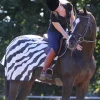 Bucas Buzz Off Zebra Riding Rug
