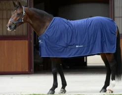 Bucas Classic Cut Shamrock Power Rug