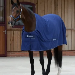 Bucas Power Cooler Rug
