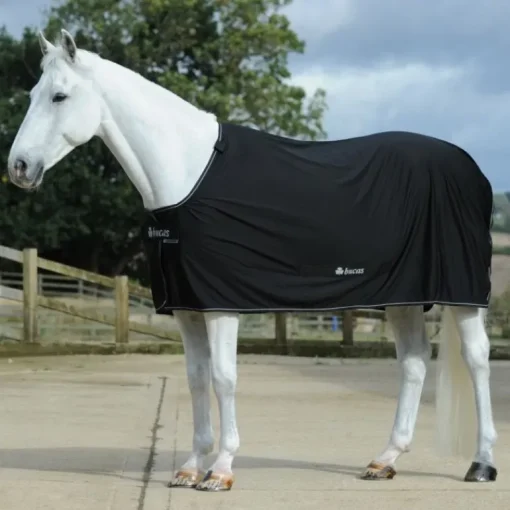 Bucas Power Cooler Rug