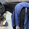 Bucas Tail Protector Bag