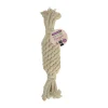 Companion Natural Eco-Friends Pineapple Shaped Dog Toy