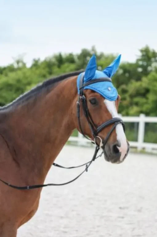 Covalliero Fly Hood SS22