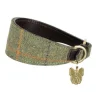 Digby and Fox Tweed Greyhound Collar