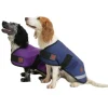 FireFoot Outdoor Dog Coat