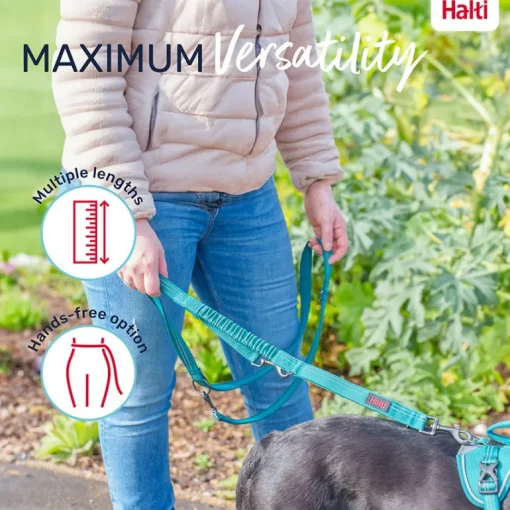 Halti Anatomy Dog Multi Lead