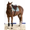 Harcour Siriel GP/Jump Saddle Pad