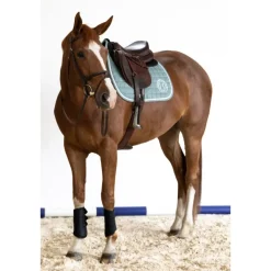 Harcour Siriel GP/Jump Saddle Pad