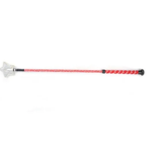 Hy Equestrian Spiral Star Riding Whip