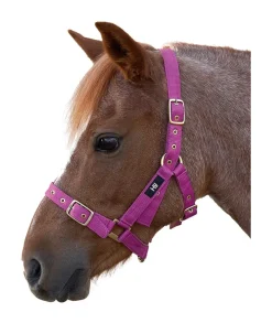 Hy Holly Fully Adjustable Head Collar