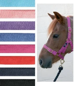 Hy Holly Fully Adjustable Head Collar