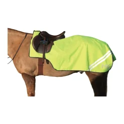 HyVIZ Reflector Exercise Sheet