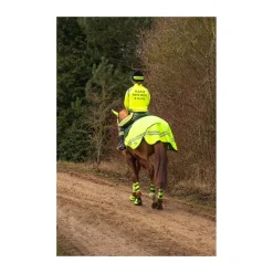 HyVIZ Reflector Exercise Sheet
