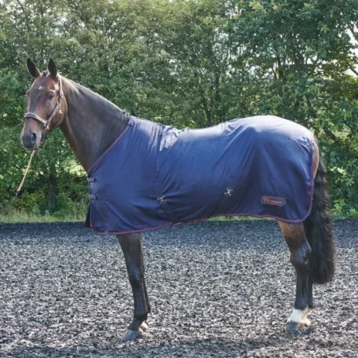 John Whitaker Rastrick Summer Sheet
