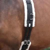 Kincade Lunge Roller With Fleece Padding Black Cob