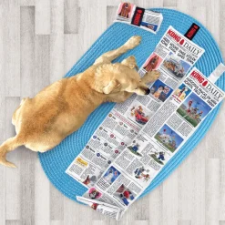 KONG Daily Newspaper