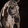 LeMieux Arika Flash Bridle