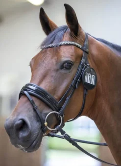LeMieux Bridle Number Holder