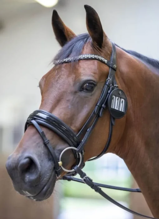 LeMieux Bridle Number Holder