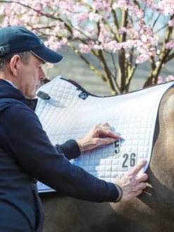 LeMieux Cotton Dressage Competition Square