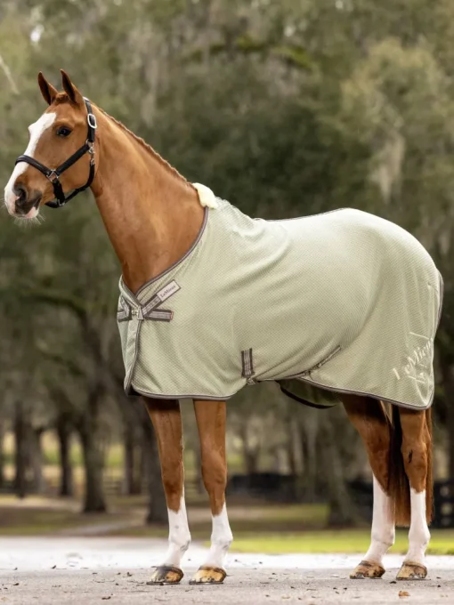 LeMieux Kudos Bamboo Cooler Rug SS24