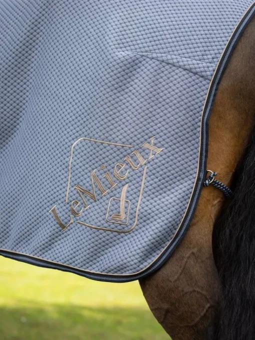 LeMieux Kudos Bamboo Cooler Rug SS24