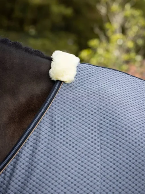 LeMieux Kudos Bamboo Cooler Rug SS24