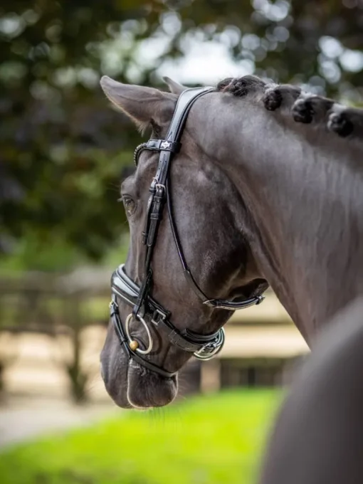 LeMieux Kudos Patent Dressage Bridle