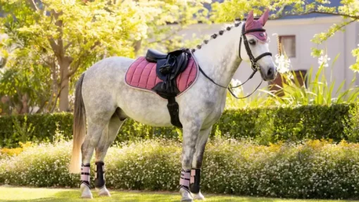 LeMieux Loire Classic Close Contact Square SS25