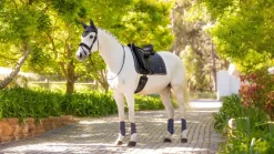 LeMieux Loire Classic Dressage Square SS25