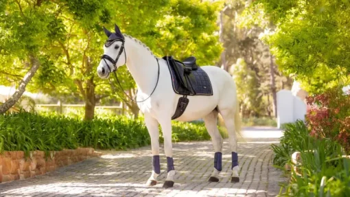 LeMieux Loire Classic Dressage Square SS25