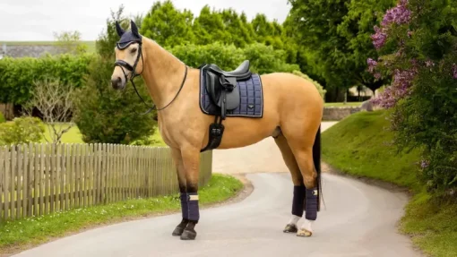 LeMieux Loire Classic Dressage Square SS25