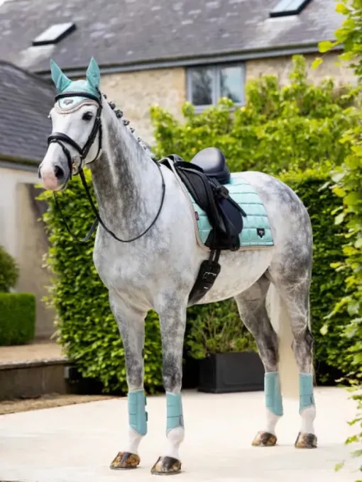 LeMieux Loire Classic Dressage Square SS25