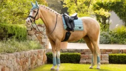 LeMieux Loire Classic Dressage Square SS25