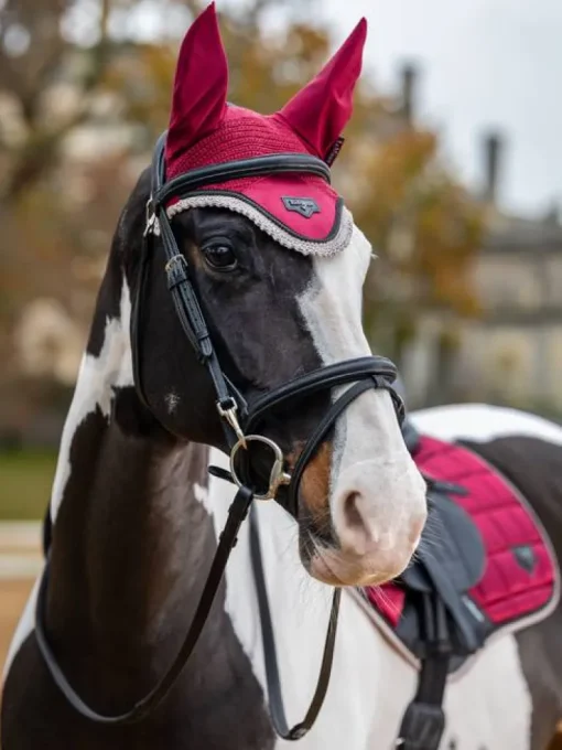 LeMieux Loire Fly Hood AW24