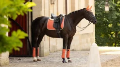 LeMieux Suede Dressage Square SS24