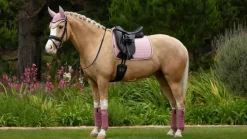LeMieux Suede Dressage Square SS25